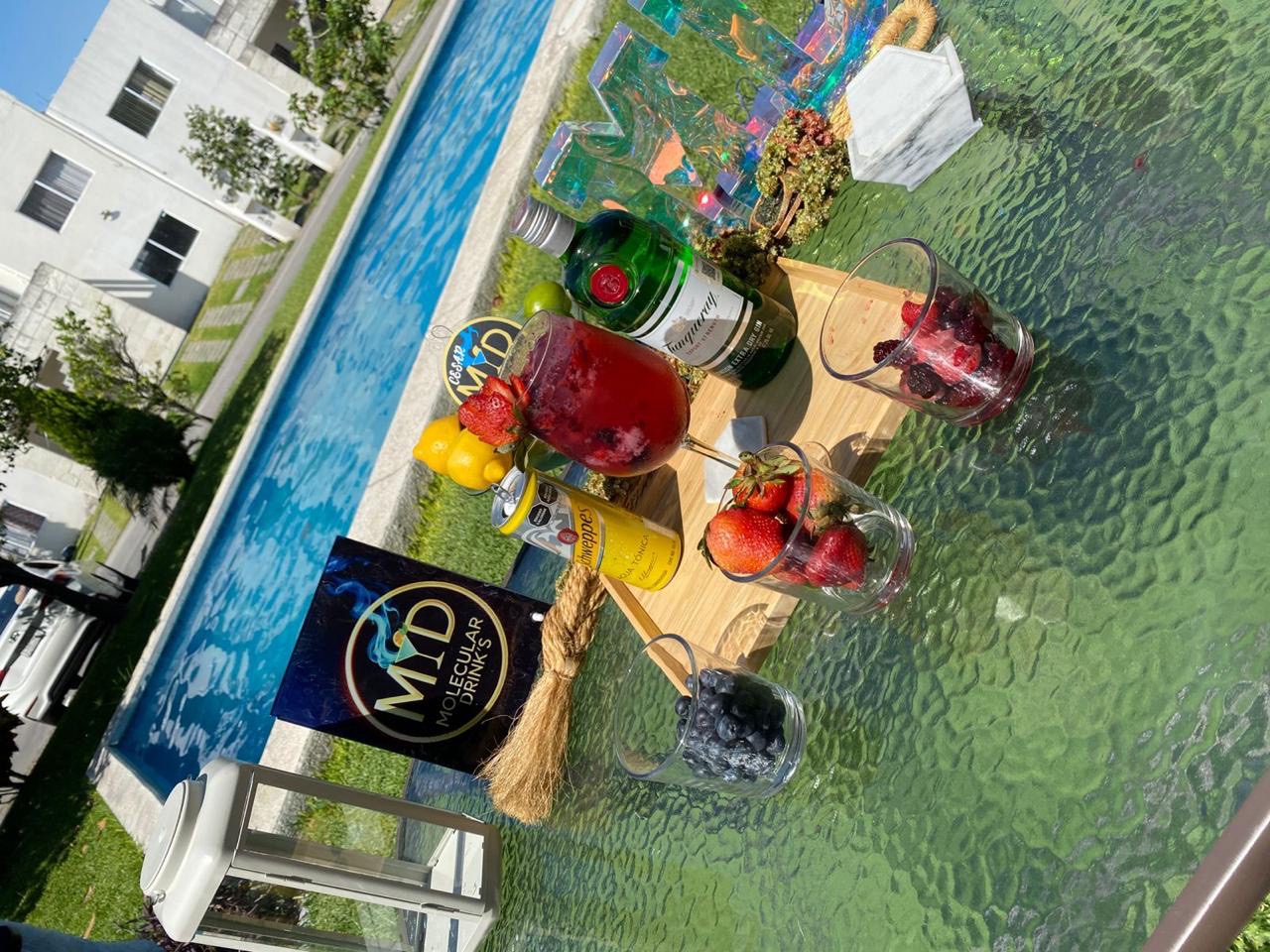 Coctelería con fruta Molecular Drink's